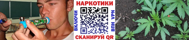 Виды наркотиков купить Суворов Псилоцибиновые грибы  Меф мяу мяу  Гашиш  БУТИРАТ  А ПВП 