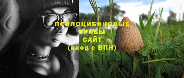 Альфа ПВП Каменка
