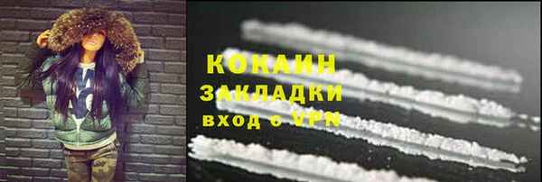 Альфа ПВП Каменка