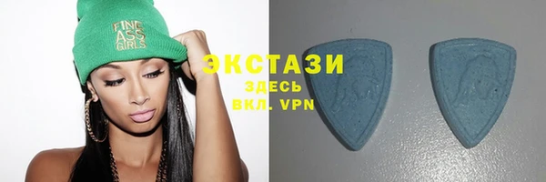ешки Инта