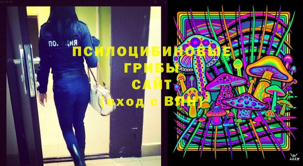 амф Инсар