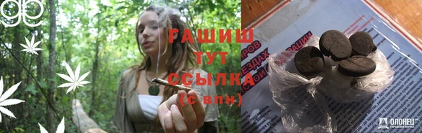 дживик Иннополис