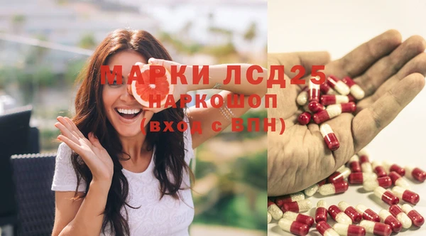 амф Инсар