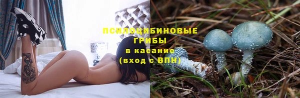 амф Инсар