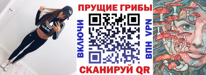 Галлюциногенные грибы GOLDEN TEACHER  блэк спрут ССЫЛКА  Суворов 